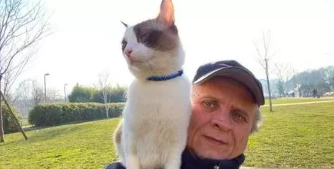 Alla scoperta dell'uomo che passeggia con il gatto
